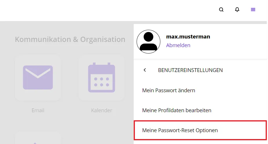 Meine Passwort-Reset Optionen